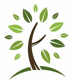 ConservationandTrees